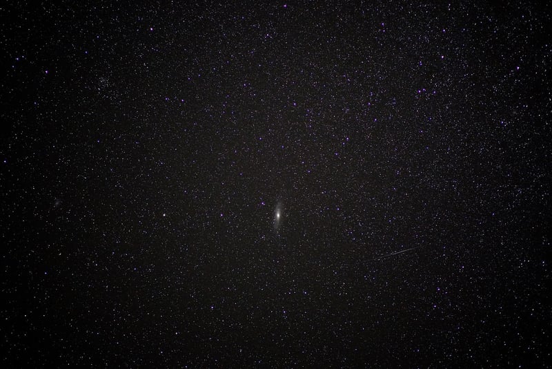 Stellar Nurseries